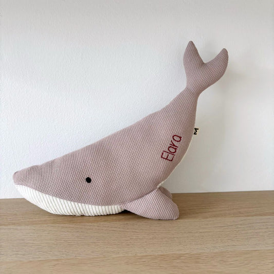 <transcy>The Susi whale</transcy>