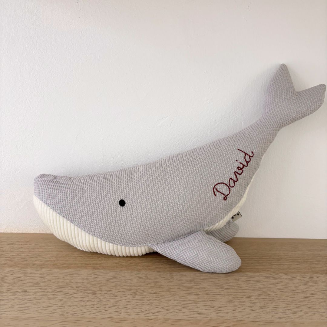 <transcy>The Susi whale</transcy>