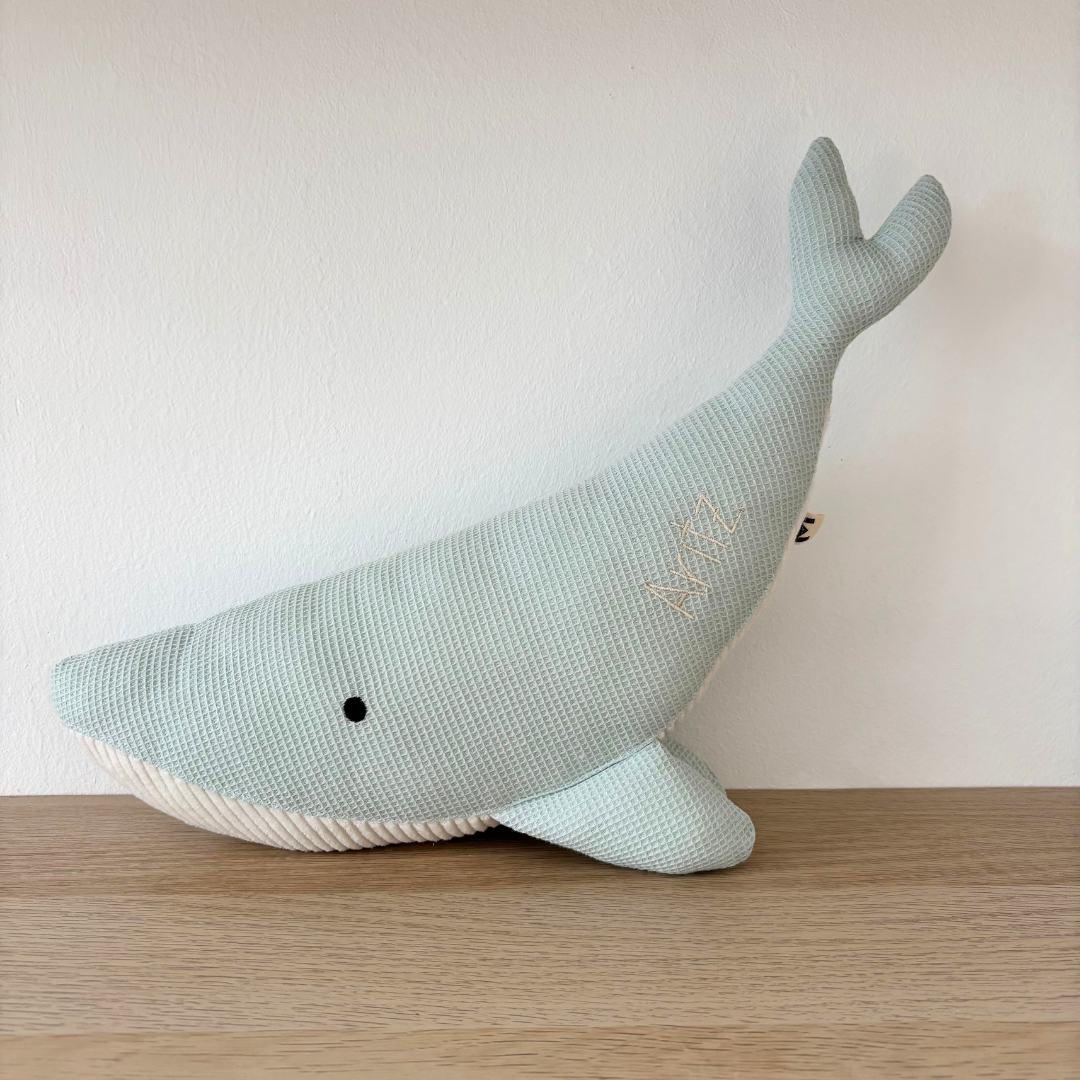 <transcy>The Susi whale</transcy>