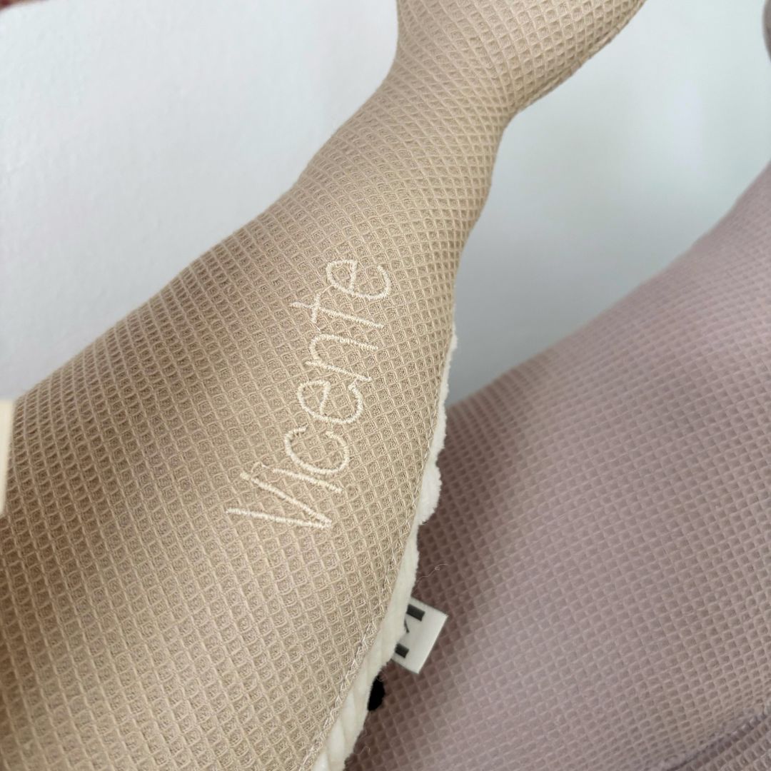 <transcy>The Susi whale</transcy>