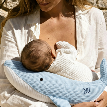 <transcy>The Susi whale</transcy>