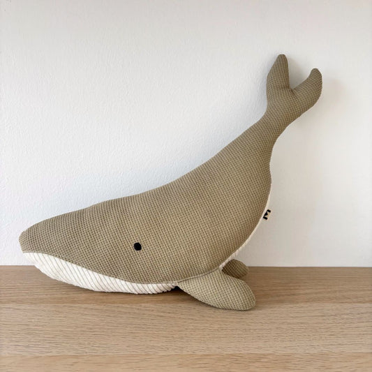 <transcy>The Susi whale</transcy>